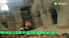 280_158gif 动态图 动图