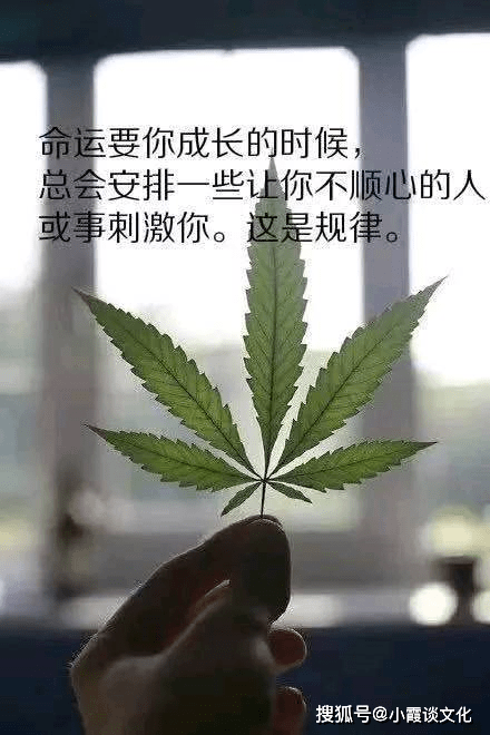 经典有意义的说说带图片,精辟走心,发朋友圈点赞无数