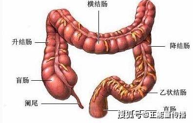 排便若出现五个"症状",或是"肠癌"