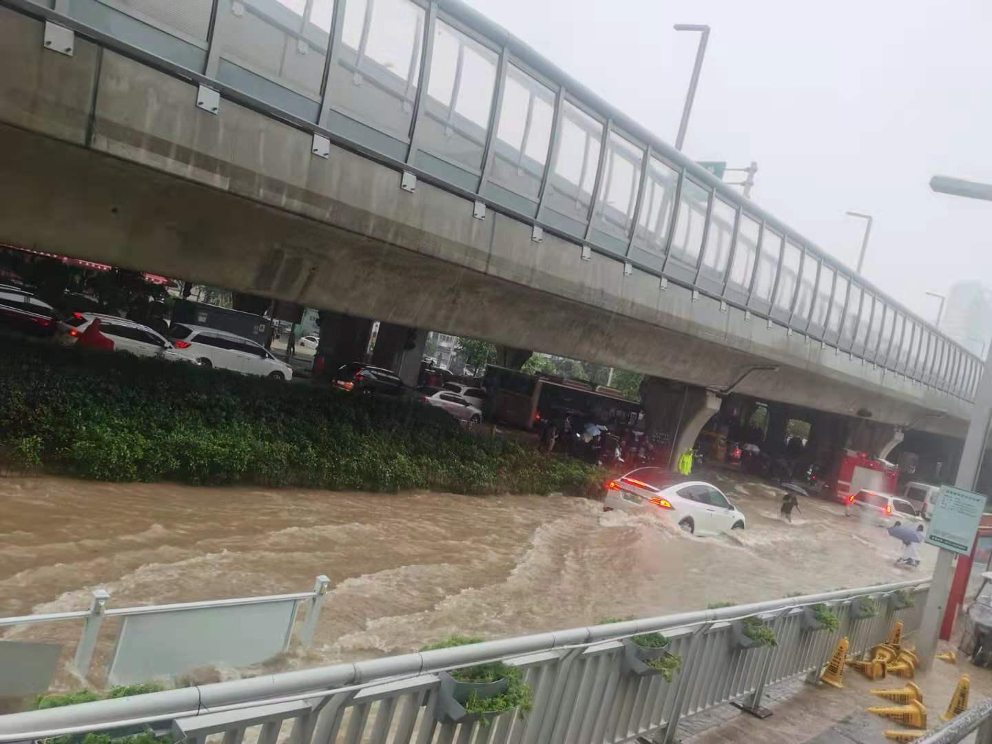 网友投稿|郑州暴雨,我坐上了地铁五号线!