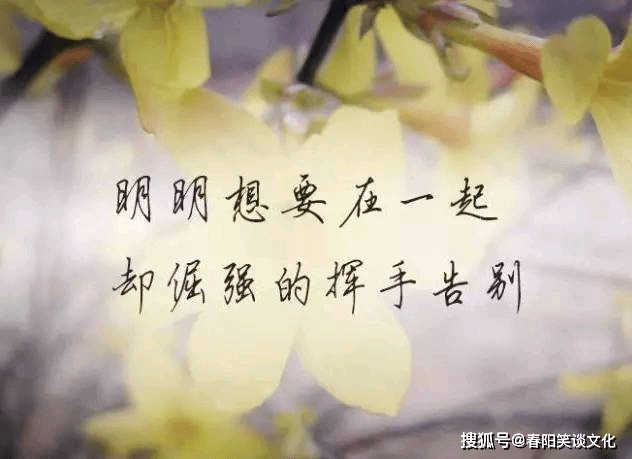 表达对某人心寒失望的句子,伤感虐心,让人红了眼眶