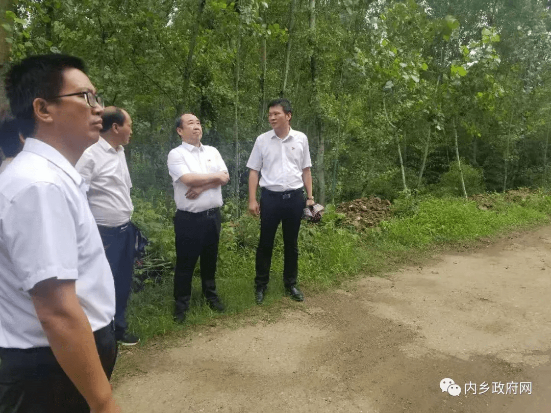 内乡代县长张智广督导检查北部山区防汛及地质灾害预防工作