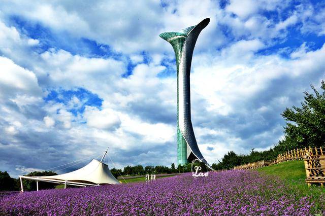 位于沈阳市浑南区的沈阳植物园,2006年在此举办的世博园,又称为沈阳