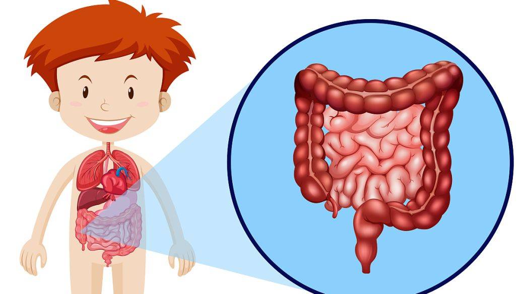 儿童肠道问题不容小觑 晓瑷同学关注肠道健康有大招