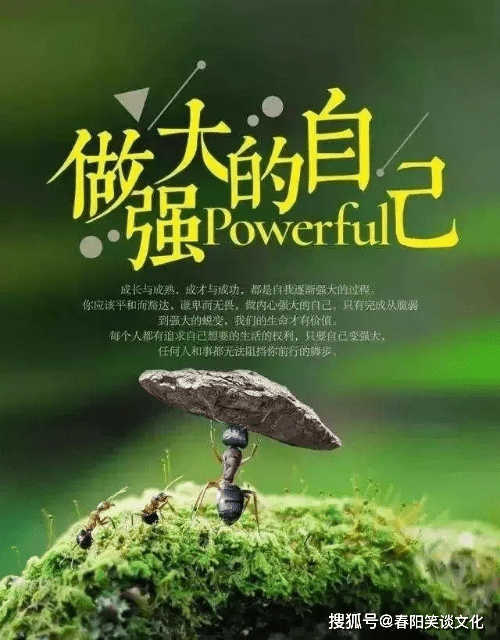 经典人生哲理语录,精辟走心,让人百读不厌