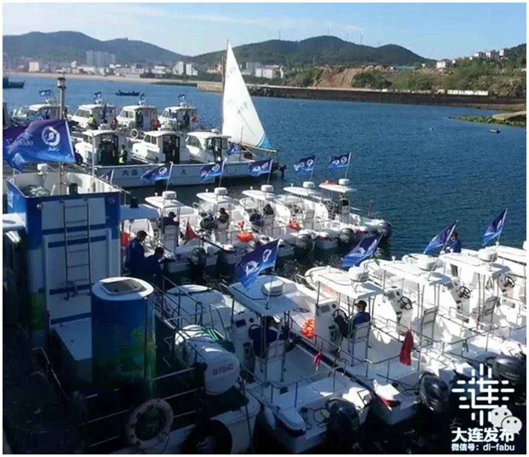 邂逅大连夏日浪漫