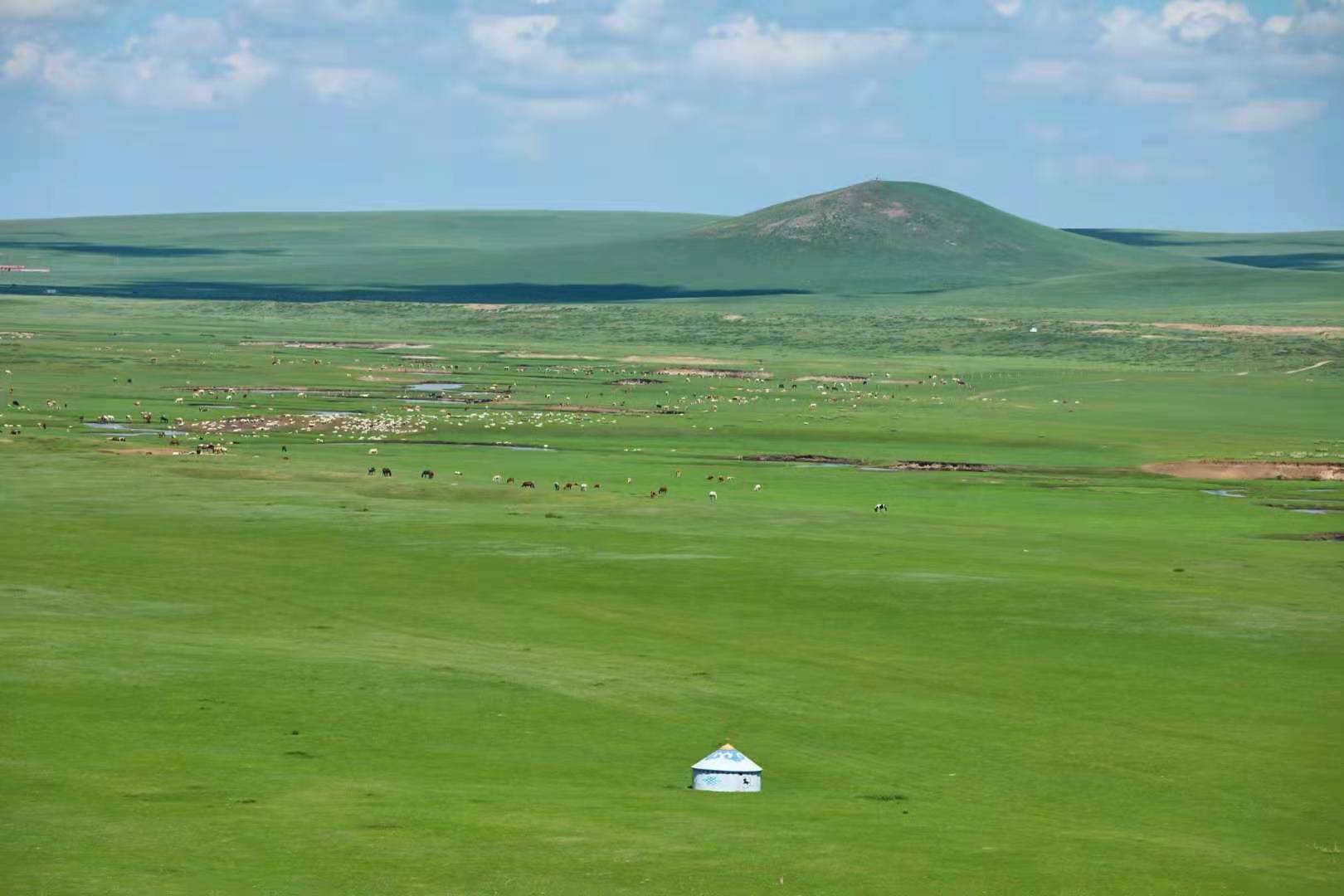 锡林郭勒大草原攻略:世界上最美的草原,最好吃的羊肉