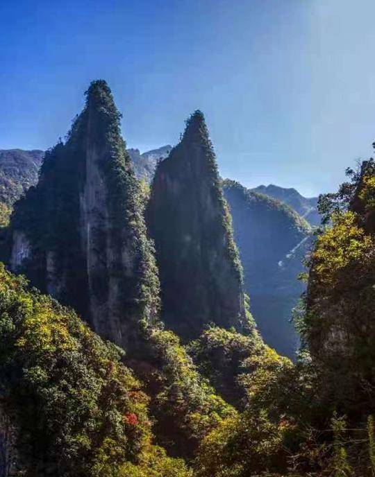 五里坡申遗成功!成为重庆第三个世界自然遗产地