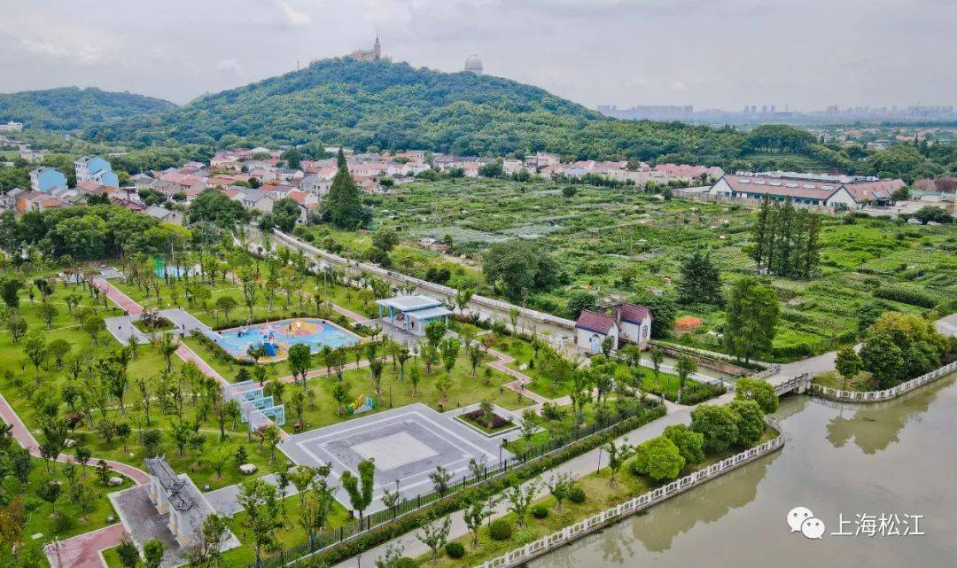 打造大上海后花园推进一基地三中心建设佘山镇高质量发展持续发力