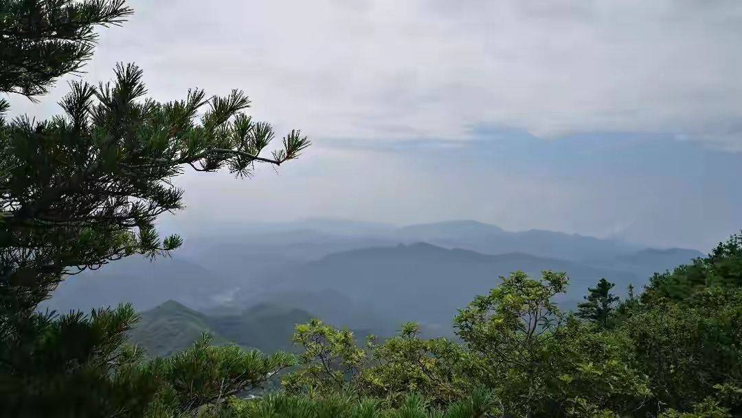 以下是牛背梁山顶和大峡谷大美风光