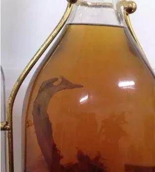 成药酒已然不新奇: 鼠仔酒 但或许我们还可以试试新东西: 外星人泡酒
