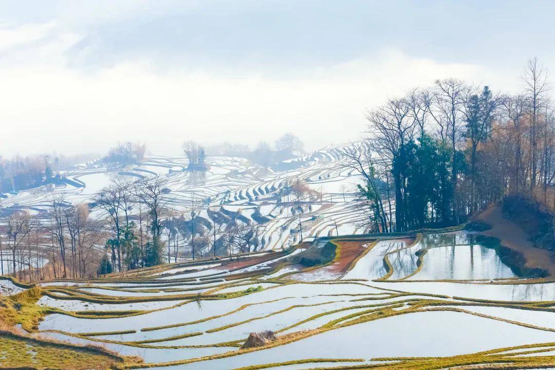 世界遗产在中国 | "最美的山岭雕刻"红河哈尼梯田文化景观