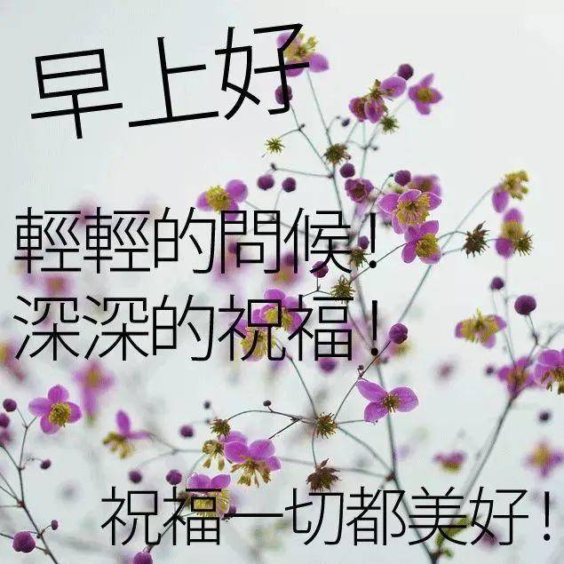 原创朋友圈漂亮早上好唯美动态表情图片,最美早晨好动图美图大全