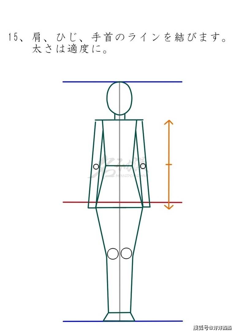 17,这就是人物八头身的比例,接下来只需要继续细化即可.