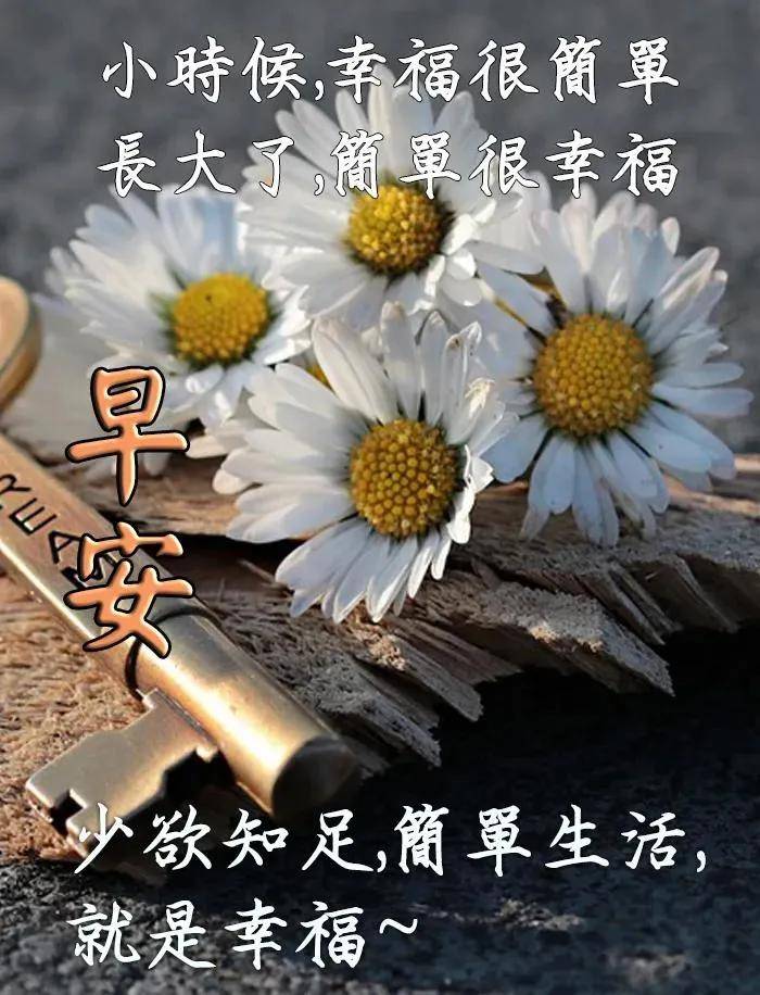 原创9张有创意的免打字早安问候祝福图片精选唯美秋天早上好问候祝福