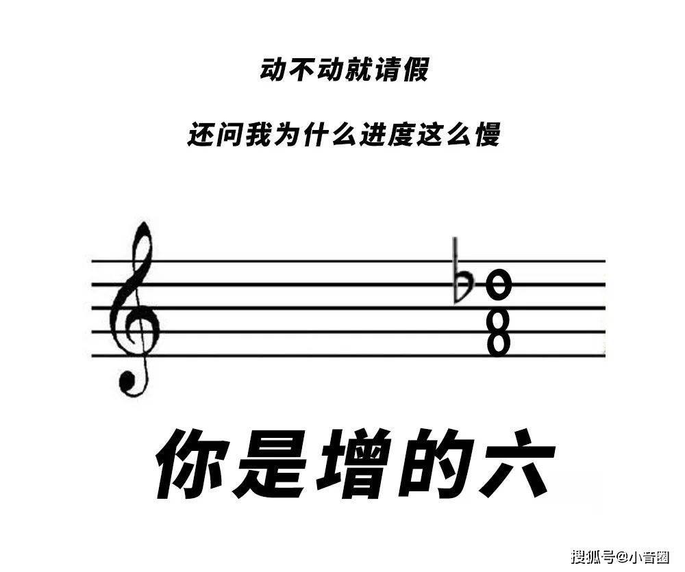 小音圈音乐老师专属表情包哈哈哈哈哈哈哈哈哈