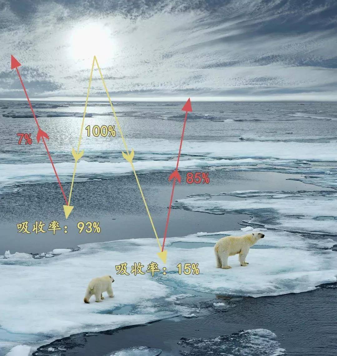 气候变暖对全球气候的影响_气候变暖北极_科学家称气候变暖或致北极病毒溢出