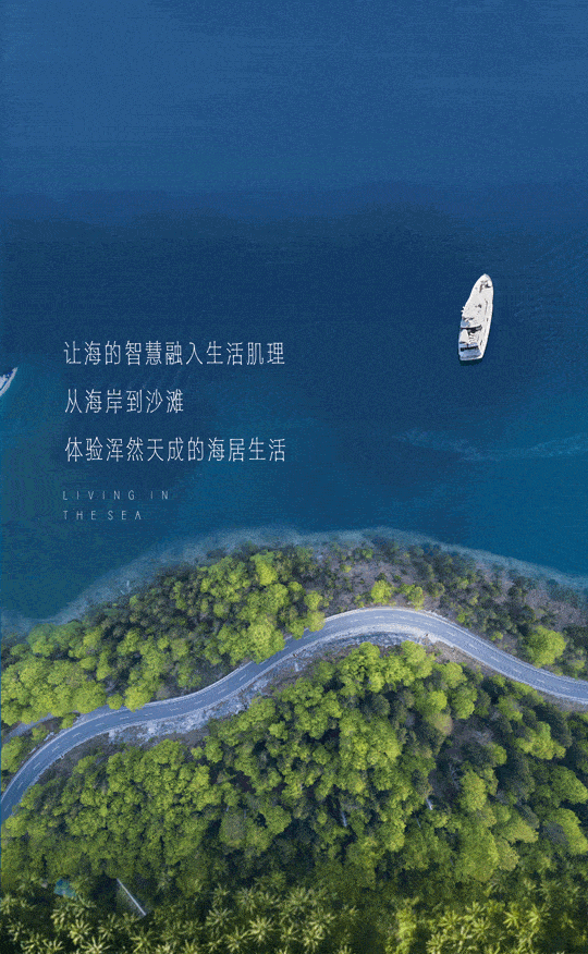 540_876 竖版 竖屏