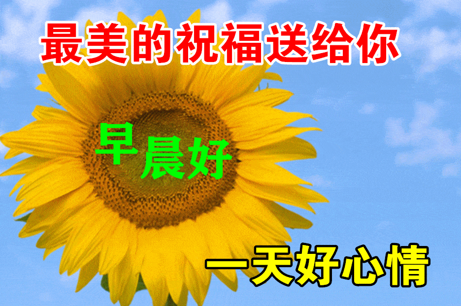 8张免打字漂亮好看的早上好鲜花带字,2021早晨好幸福暖心的问候图片