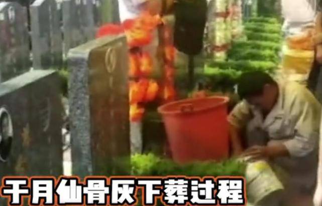 于月仙骨灰下葬过程曝光!母亲含泪送女儿最后一程