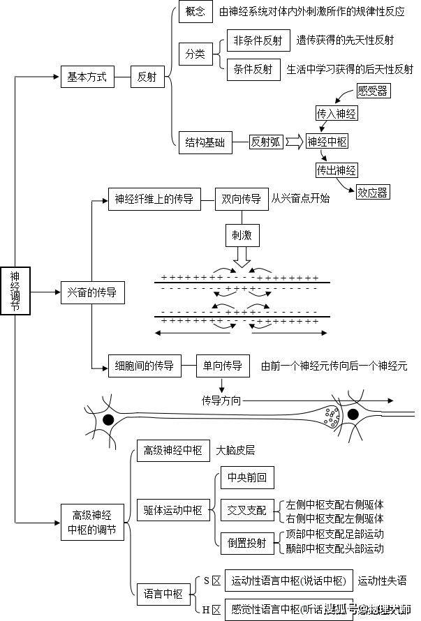 高中生物:最全生命活动调节知识结构图,赶快收藏!_免疫