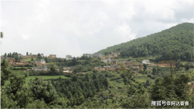 上杨柳村-云南省宾川县大营镇上杨柳村