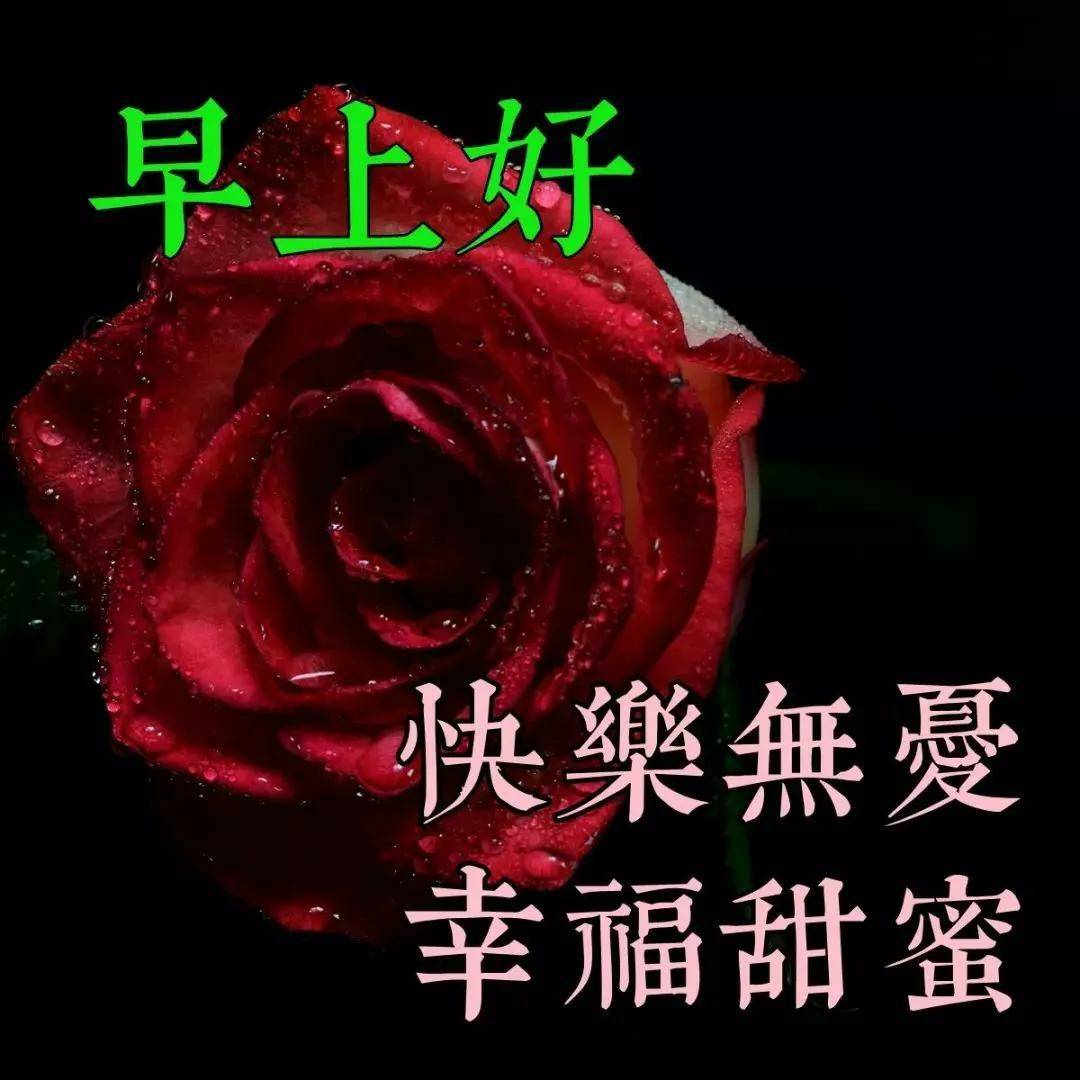 原创2021年下半年朋友圈温馨祝福词句早安祝福图片