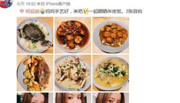 明星的年夜饭,林更新家最搞笑,陈立农家品相好,贾乃亮