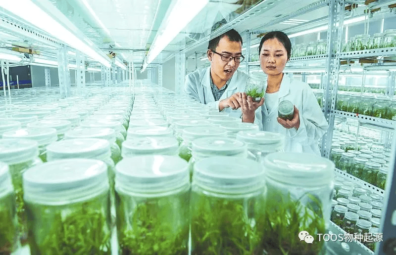 物种起源:发展生物育种把饭碗牢牢端在自己手中