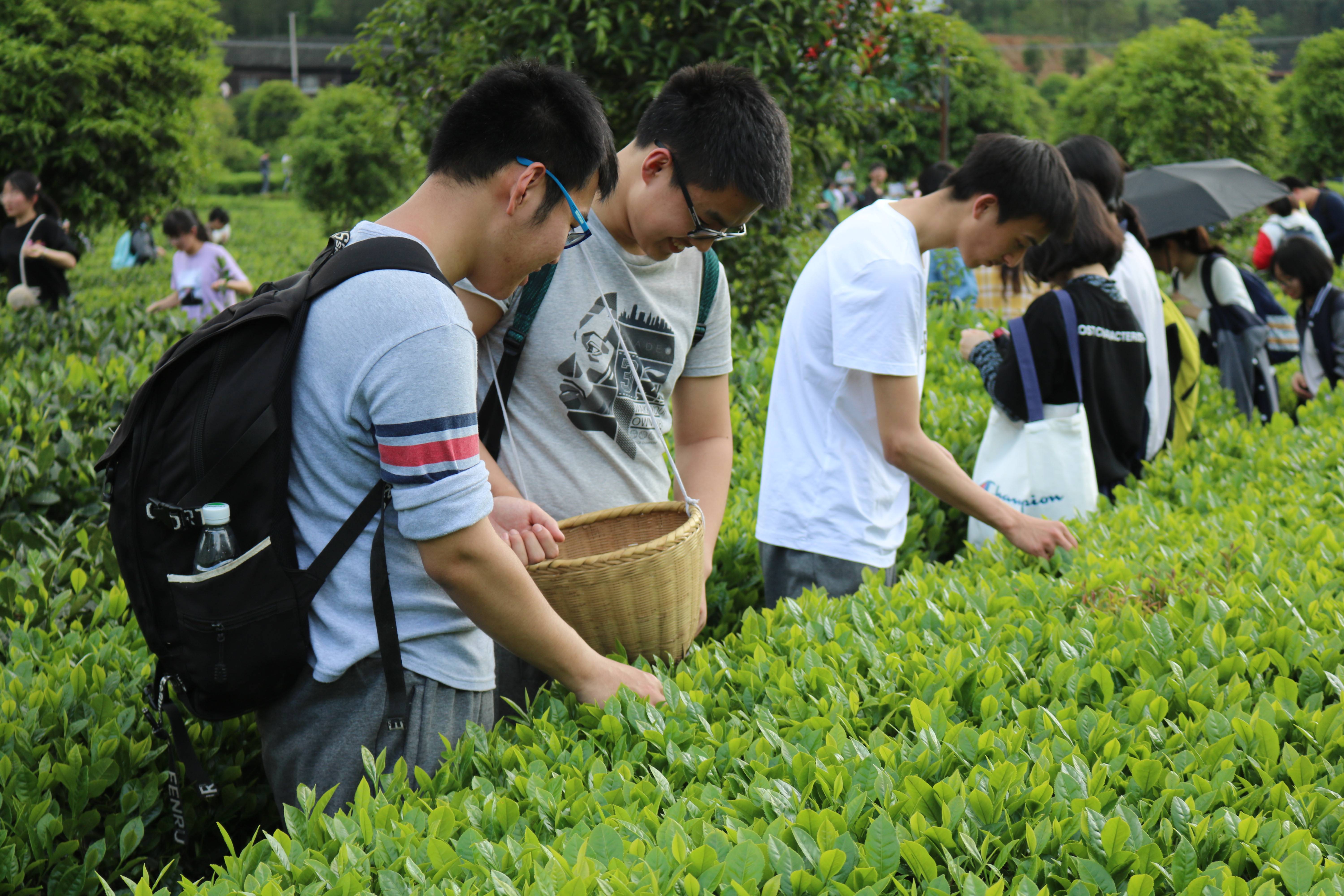 给孩子挑选研学旅行时,如何避免被坑?记住这三点,谁也