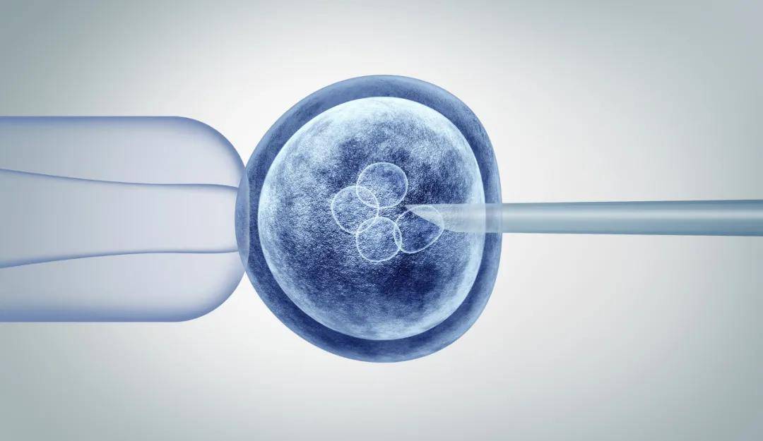 将保存的胚胎复苏后移植回母体,再次或多次重复试管婴儿技术,而不必