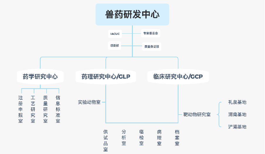 实验室揭秘丨国联兽药研发中心深耕技术研发把握产业脉络