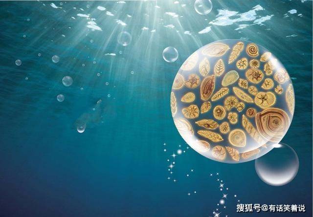 科学家发现20万种海洋病毒每勺海水里都有广西人口总和之多