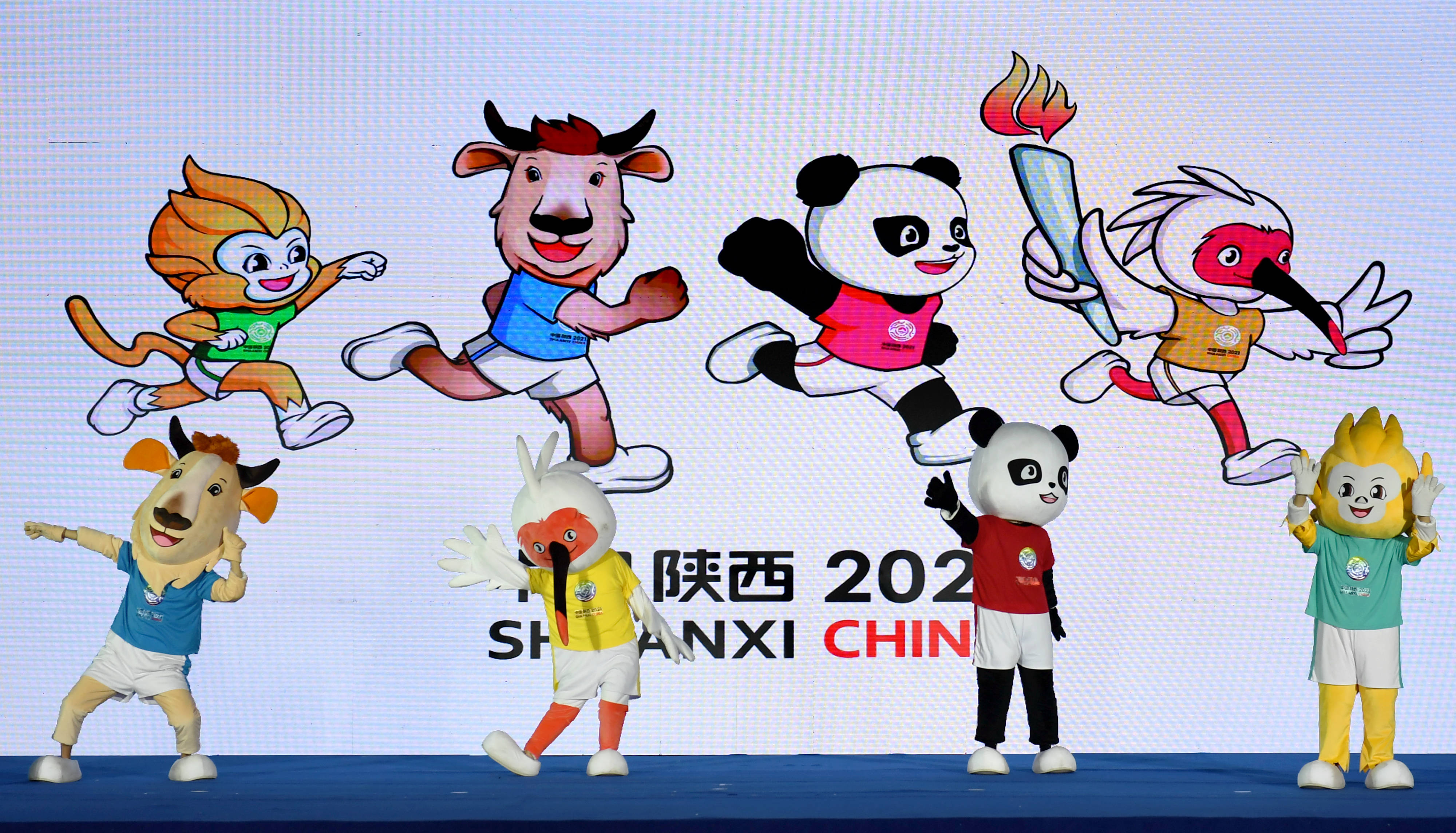 原创2025全运会官宣!粤港澳三地合办,地表最强乒乓球 跳水赛又来了?