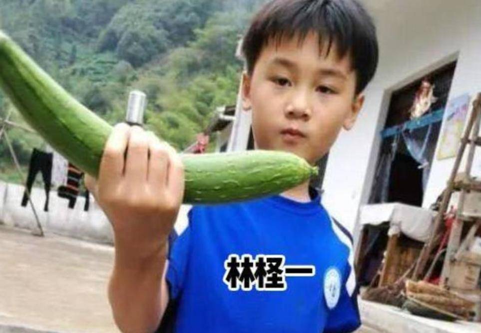 林生斌的女儿叫林臻娅,大女儿叫林柽一,这在朱元璋也有23个姓.