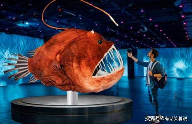 灯笼内充满着上百个发光菌,只要灯笼鱼利用有腺细胞分泌光素,光素就会