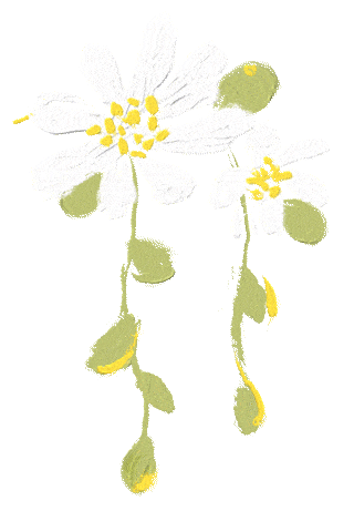 320_470 竖版 竖屏