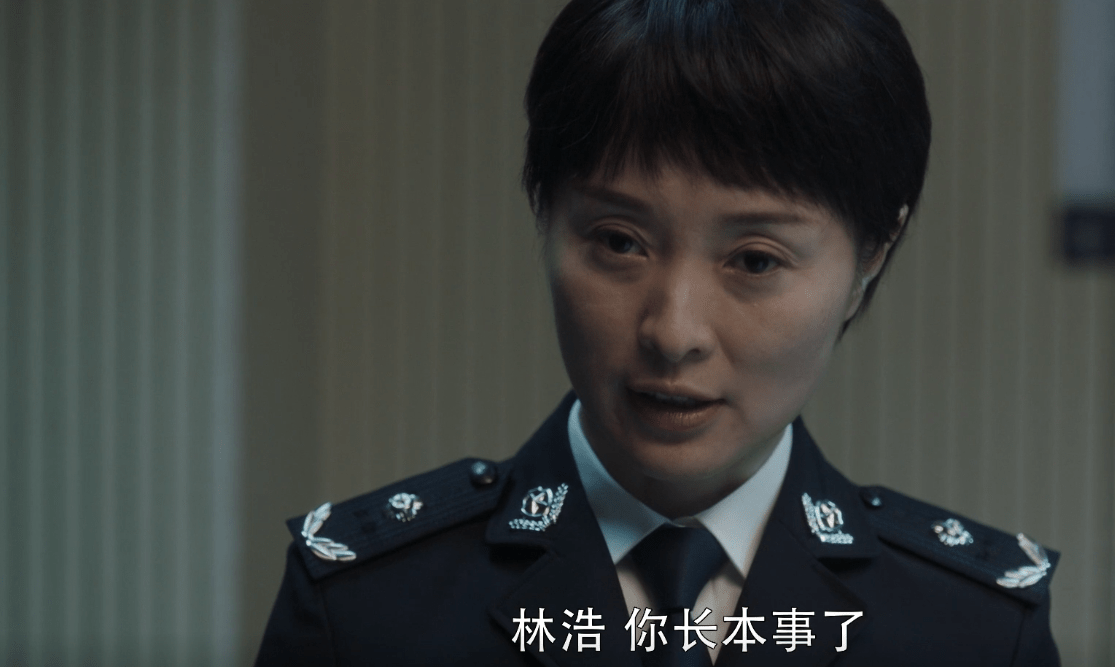 原创扫黑风暴:高明远祸害的女人,麦佳还有退路,郑毅红却因善良改写