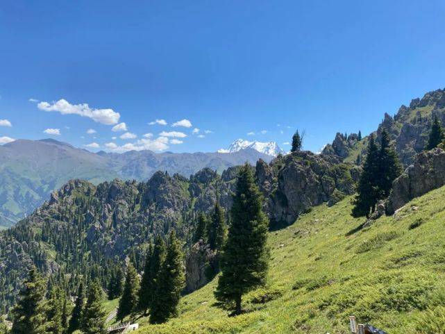 凉风有信秋叶黄,天凉记得添衣裳_天山天池