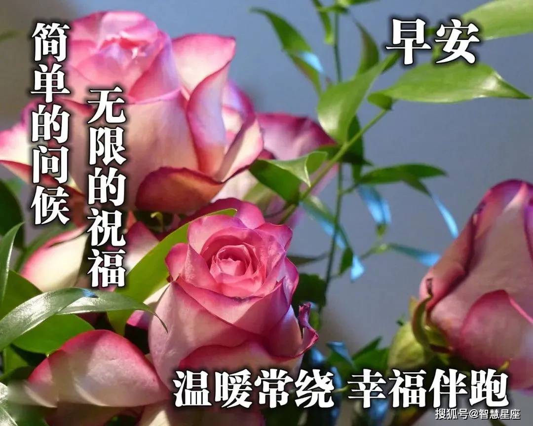 9月4日清早免打字早安聊天图片表情动态可爱,早安聊天