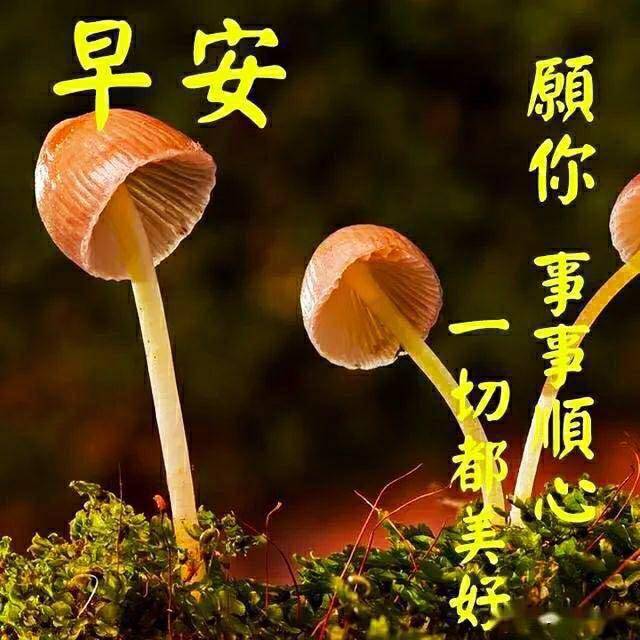 8张特别漂亮的早上好问候动画表情图片 免打字秋日早安动态表情图片