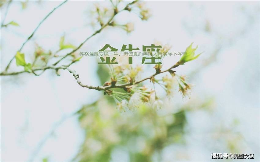 金牛座