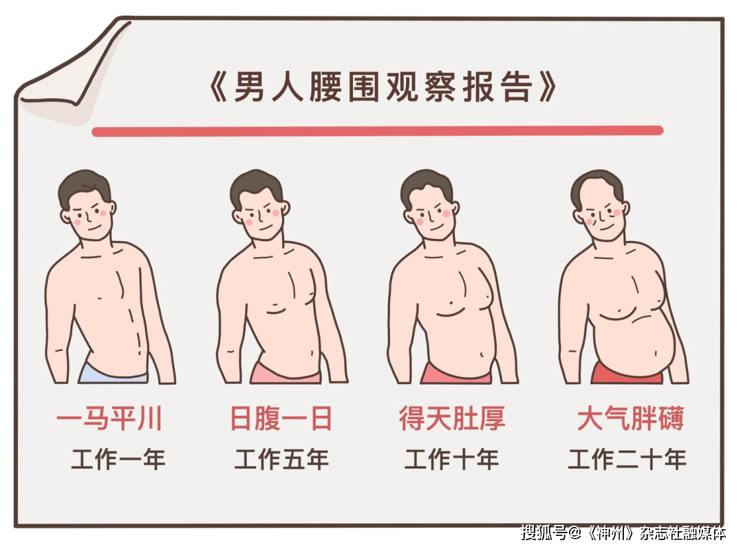 科普|腹肌怎么变成"啤酒肚"?