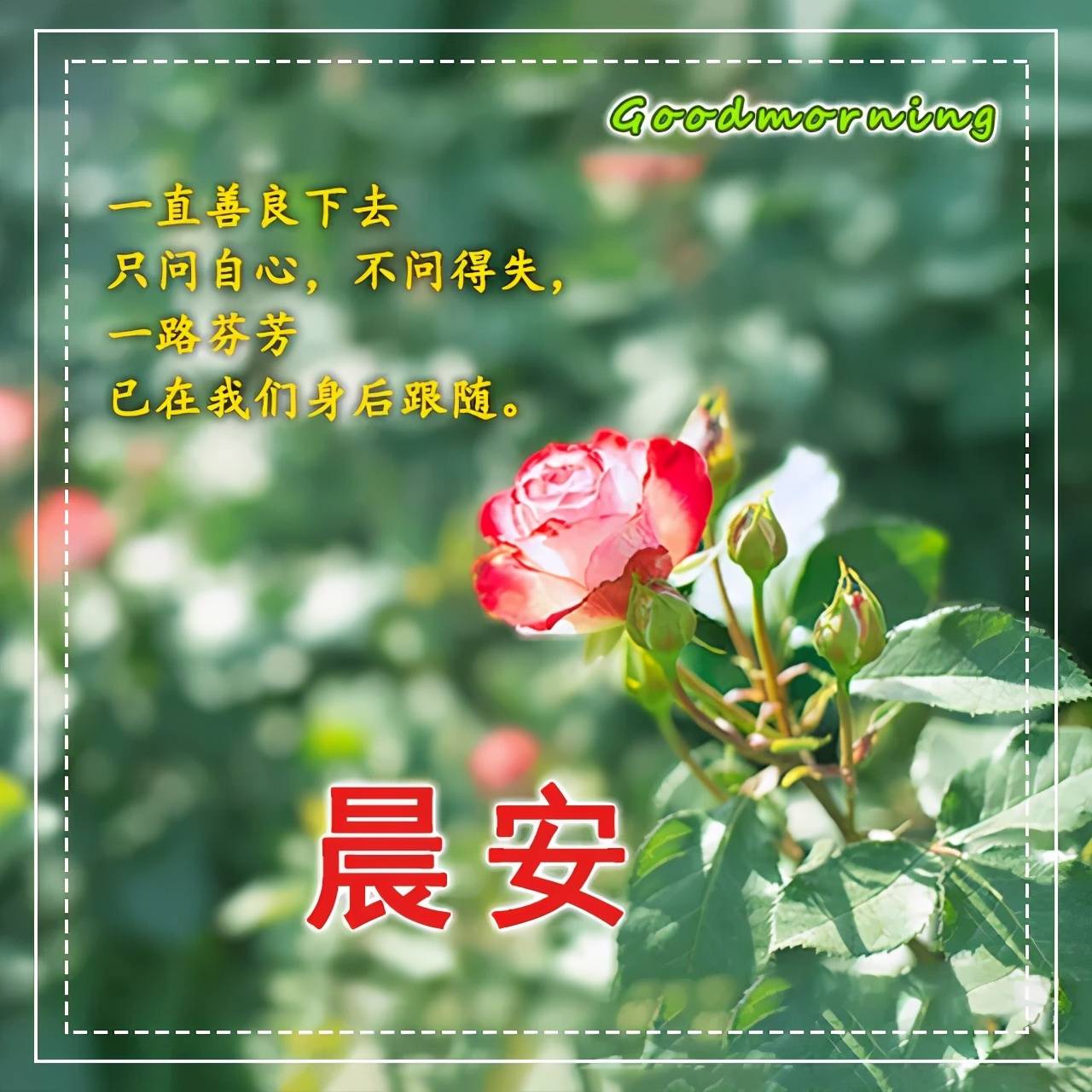 早安祝福风景图片大全,最美群发好友早安祝福图片_人生