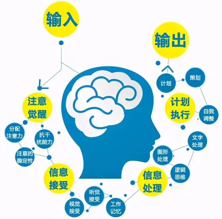 思维技术|打开思维学密码,促进大脑智慧性发展!