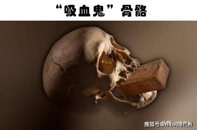 则让不少人开始百分百坚定的相信它是曾经吸血鬼存在的证据