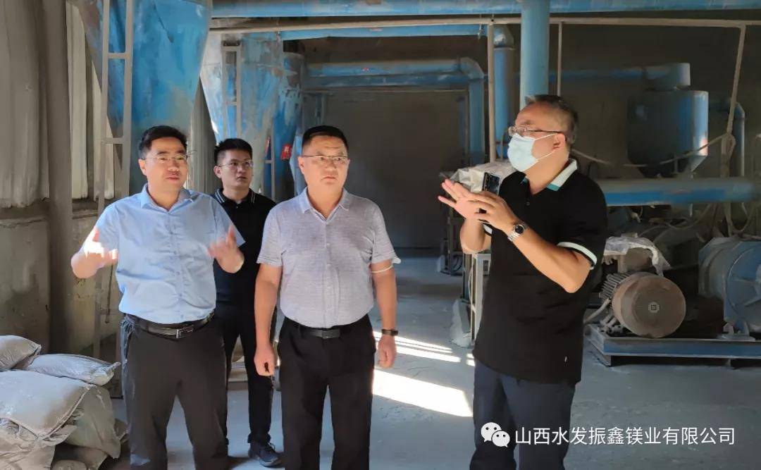 吴学云一行首先对水发振鑫的现场细致勘探,重点就镁粉加工生产线的
