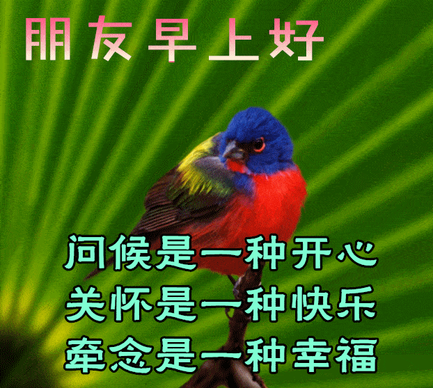 原创8张秋日最新特漂亮早上好鲜花图片带祝福语 2021最美秋日早安问候