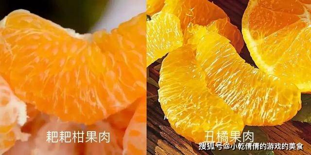 原创买橘子时,丑橘和耙耙柑要分清,区别挺大,弄懂再买少花冤枉钱