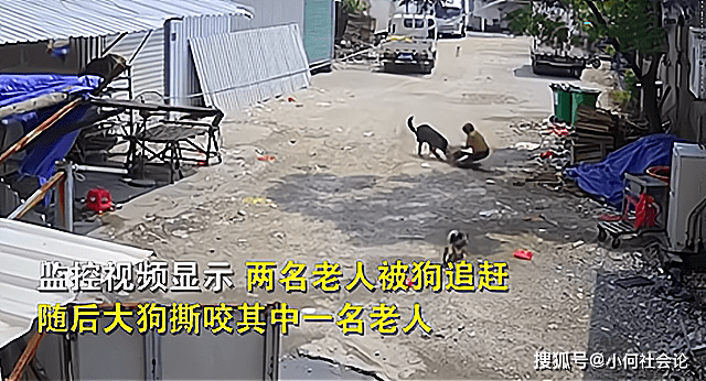 原创福建老太被恶犬扑咬致死,同行女子求助路人遭拒,肇事犬仍活着